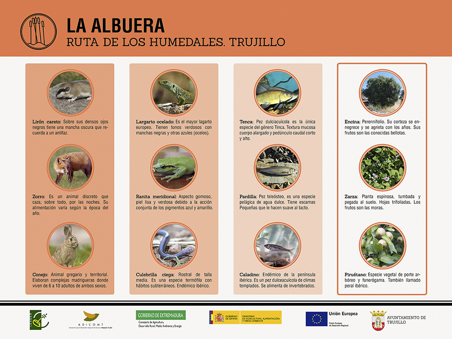 Rutas ornitolgicas de Trujillo